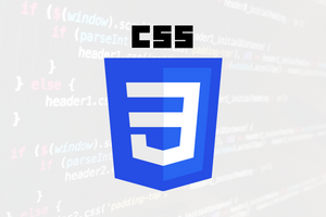 Indian Coding Academy CSS Course