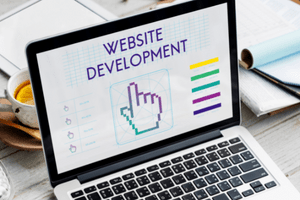 Pro Web Development